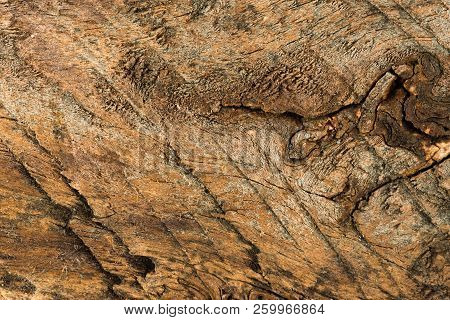 Wood Texture Of Brushed Pine Boards With Knots. Abstract Background With Wood Pattern.