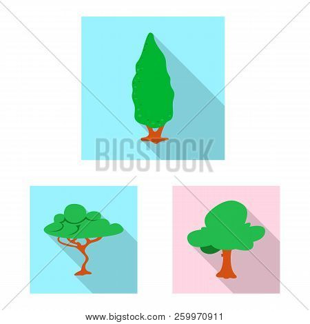 Vector Illustration Of Tree And Nature Icon. Set Of Tree And Crown Vector Icon For Stock.