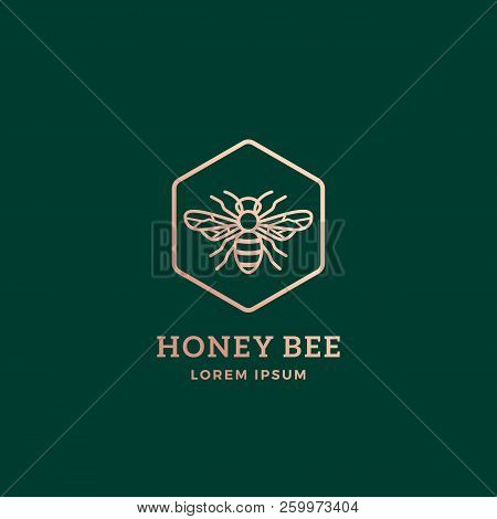 Premium Honey Bee Abstract Vector Sign, Symbol Or Logo Template. Golden Bee Sillhouette With Retro T
