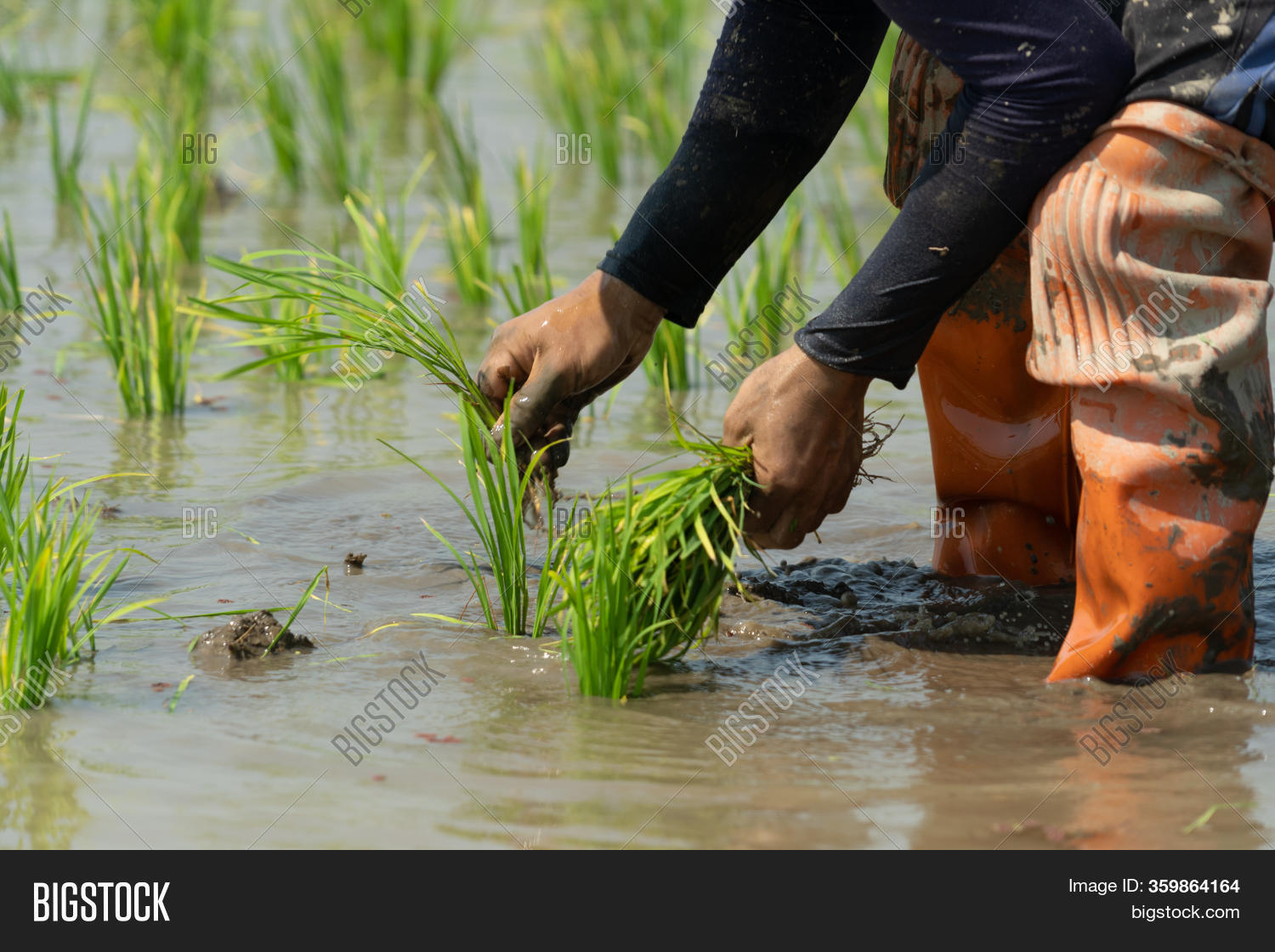 Traditional Method Image & Photo (Free Trial) | Bigstock