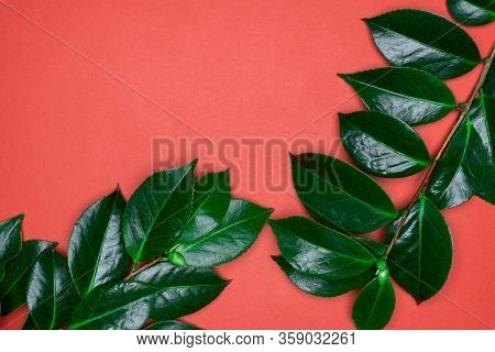 Green Leaves On Red Background. Flat Lay, Top View, Space.