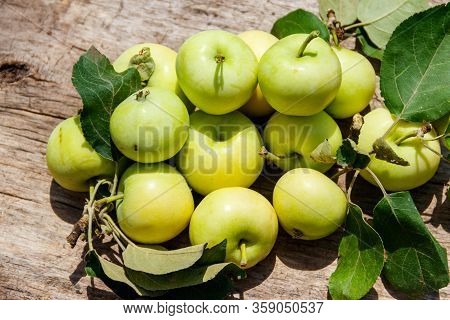 Fresh Ripe Apples On Rustic Wooden Table. Top View