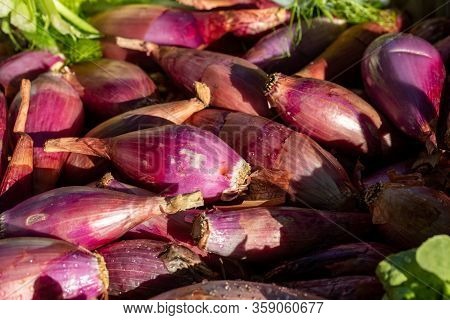 Red Onions From Tropea (cipolla Rossa Di Tropea) At A Farmers Market In Italy