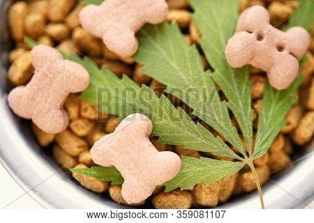 Concept Of Medical Marijuana For Pets Concept. Hemp Dog Treats. Legal Medicinal Applications Of Mari