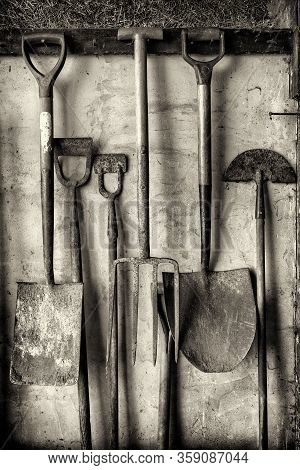 Black And White Shot Of Some Old Gardening Tools Including Spades And Forks Hanging Against A Shed W