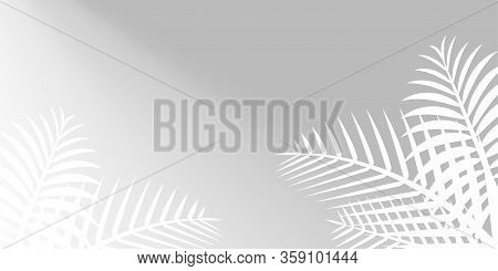 Coconut Leaf White And Sunshine On Grey Wall For Background, Palm Tree Leaves White Shadow, Sunbeam 