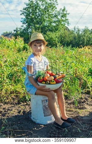 Child In The Garden With Vegetables In His Hands. Selective Focus.