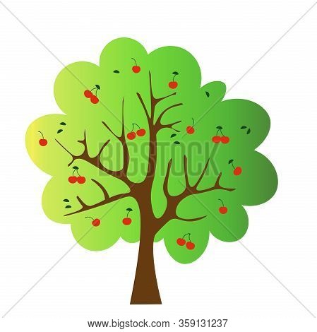 Vector Illustration Of The Green Tree With Cherries