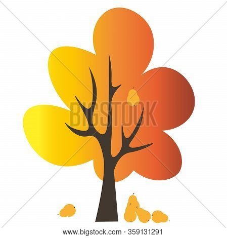 Vector Illustration Of The Fruit Tree With Orange Leaaves And Fallen Pears