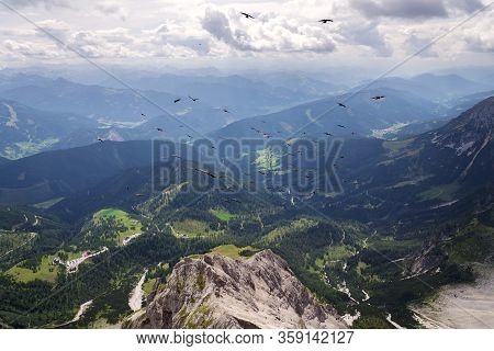 Flock Of Alpine Chough Birds Flying Over Dachstein Glacier Near Hunerkogel Mountain Car Station, Aus