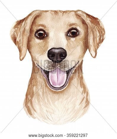 Watercolor Illustration Of A Funny Dog. Popular Dog Breed. Dog. Labrador Retriever. Hand Made Charac