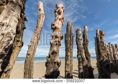 Big Breakwater, 3000 Trunks To Defend The City From The Tides, Plage De L Eventail Beach In Saint-ma
