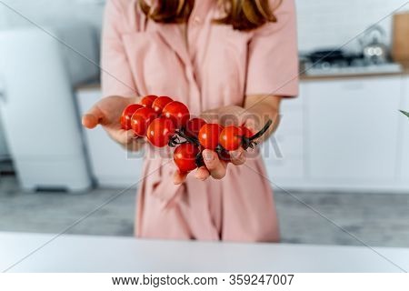 Housewife Holding Ripe Cherry Tomatoes In Hands. Kitchen Background. Pink Dress On Woman. Homefood C
