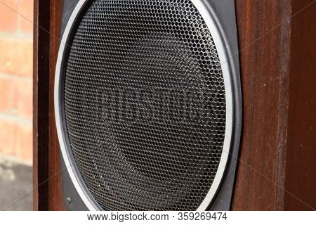 Low-frequency Speaker Of Vintage Soviet Acoustics. Dynamics 30gd-2