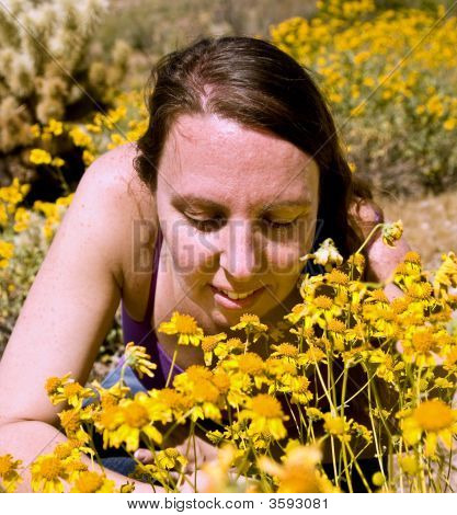 ผู้หญิงตลอด Wildflowers อริโซนา