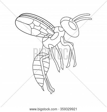 Cartoon Flying Wasp Outline. White Background Isolated Stock Vector Illustration