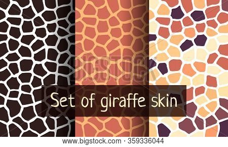 Set Of Seamless Pattern Giraffe Skin. Animal Trend.