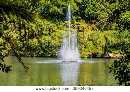 A Strole Through The Pukekura Park Botanical Gardens. New Plymouth, Taranaki, New Zealand