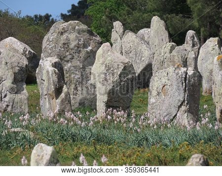 Megalithic Stone Alignments And Single Standing Menhirs In Carnac, Kerlescan, And Kermario In Britta