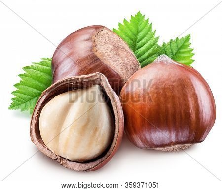 Hazelnuts with shell, hazel leaves and peeled nut isolated on a white background.
