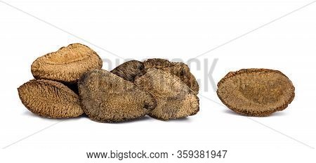 Brazilian Nut, Known As 