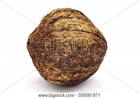 Brazilian Nut, Inside The Coconut, Known As 