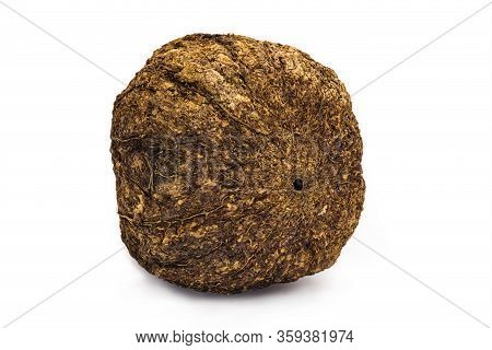 Brazilian Nut, Inside The Coconut, Known As 