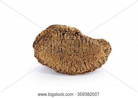 Brazilian Nut, Known As 