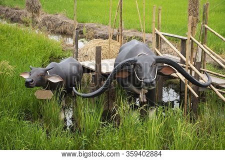 Sculpture Cement Buffalo Or Ox Model In Rice Field In Ayutthaya, Thailand