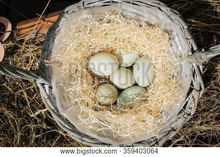 Duck White Eggs In A Basket. Easter Still Life.