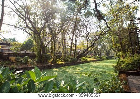 River Channel City Allapuzha, India, Kerala. Overgrown With Green Algae, In A Stone Embankment, A Na