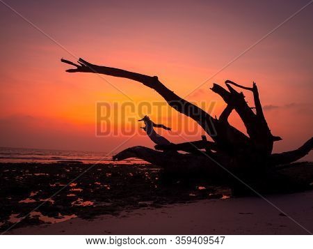 Sunrise At Kalapatthar Beach;first Light Of Dawn; Havelock Islands, Andamans, India.
