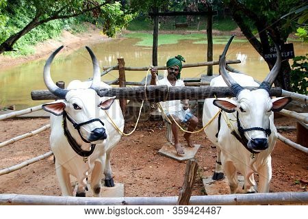 Sculpture Of Man Using Bullocks For Irrigation At Janapada Loka Folk Art Museum Near Ramanagara, Kar