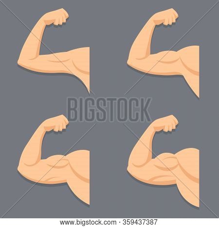 Strong Arm With Contracted Biceps. Vector Set With Isolated Objects. Illustration Of Muscles In Flat