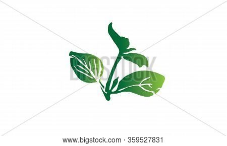 Green Leaf Isolated On White Background. Leaf Vector Icon Flat Design For Mobile,ui,web,logo And Gra