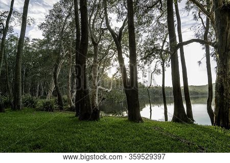 Morning At Narangie Sands Recreation Area Nsw National Park On The Northern Shore Of The Myall Lakes