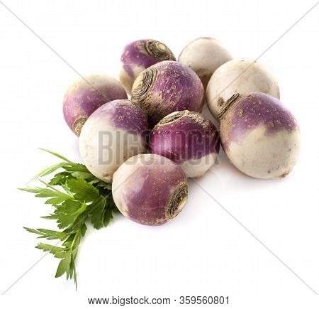 Brassica Rapa In Front Of White Background