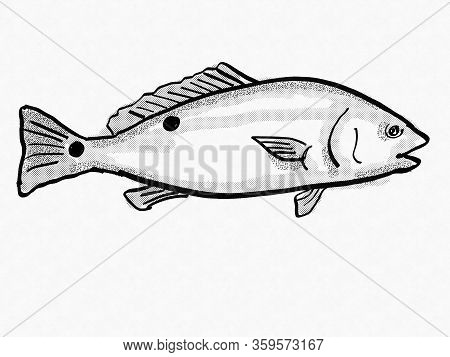Retro Cartoon Style Drawing Of A Red Drum, Spottail, Redfish, Channel Bass Or Puppy Drum, A South Ca