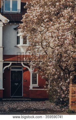 London, Uk - March 22, 2020: Magnolia Tree In Front Of A House On A Street In Palmers Green, A Subur
