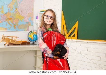 Home Schooling. Funny Little Pupil Wearing Glasses. Pupil Of Primary School With Puppy. Girl With Go
