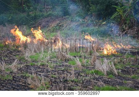Burn A Farm Agriculture / The Farmer Use Fire Burns Stubble On The Field Smoke Causing Haze With Smo