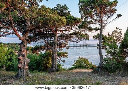 Scenic Landscape Of Black Sea Coast By Bolshoy Utrish Village, Anapa, Russia. Juniper Trees On Foreg