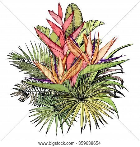 Tropical Bouquet With Exotic Strelitzia And Heliconia Flowers. Paradise Bird Floral Composition. Han