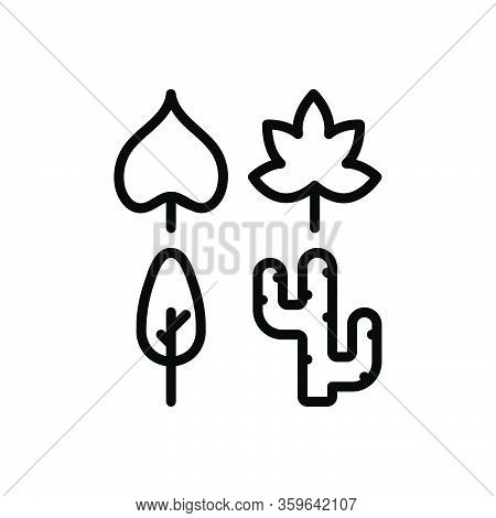 Black Line Icon For Species Category Breed Leaf Nature Kind Type Plant Environmental Ecology Conserv