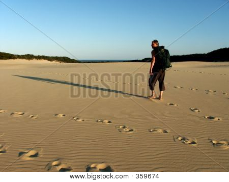 Vanhus Patikointi Dunes