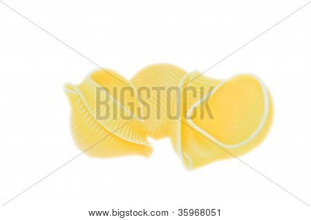意大利面贝壳