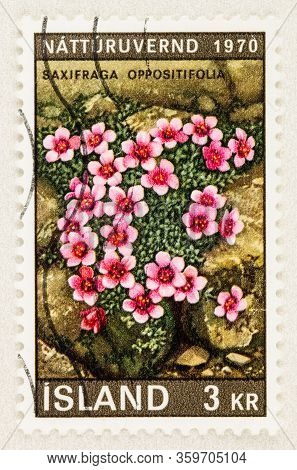 Seattle Washington - April 4, 2020: Close Up Of Iceland Postage Stamp Featuring Perennial Saxifraga 