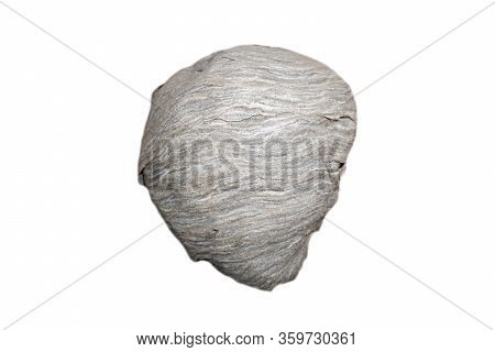 Vespiary Isolated On White Background. Huge Nest Of Wasps Or Hornets Isolated.