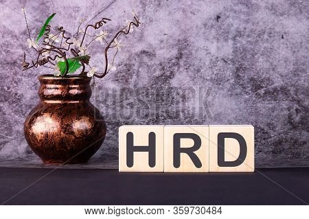 Word Hrd Made With Wood Building Blocks On A Gray Background