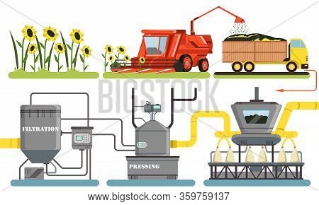 Sunflower Oil Production Process, Harvesting, Filtration, Pressing Automated Line Vector Illustratio